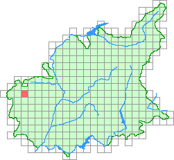 Aper&ccedil;u de la maille