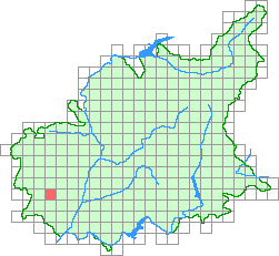 Aper&ccedil;u de la maille