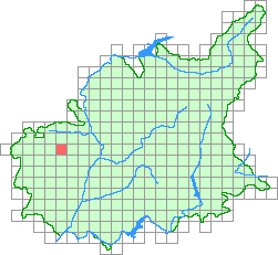 Aper&ccedil;u de la maille