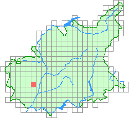 Aper&ccedil;u de la maille