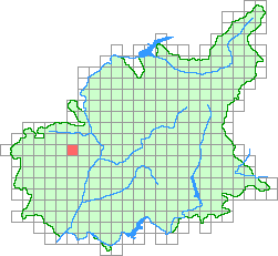 Aper&ccedil;u de la maille