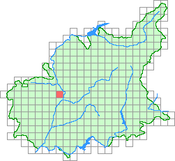Aper&ccedil;u de la maille
