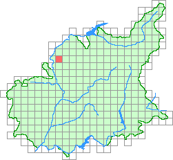 Aper&ccedil;u de la maille