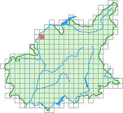 Aper&ccedil;u de la maille