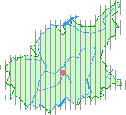 Aper&ccedil;u de la maille