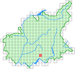 Aper&ccedil;u de la maille