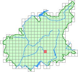 Aper&ccedil;u de la maille