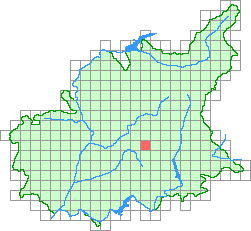 Aper&ccedil;u de la maille