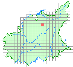 Aperçu de la maille