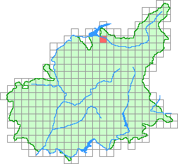 Aper&ccedil;u de la maille