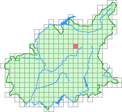 Aper&ccedil;u de la maille