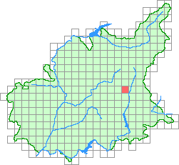 Aper&ccedil;u de la maille