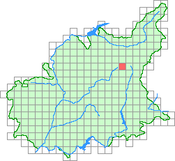Aper&ccedil;u de la maille