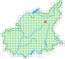 Aperçu de la maille