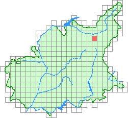 Aper&ccedil;u de la maille