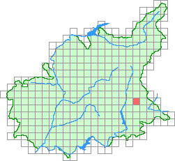 Aper&ccedil;u de la maille
