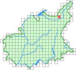 Aper&ccedil;u de la maille