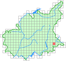Aper&ccedil;u de la maille