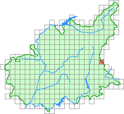 Aper&ccedil;u de la maille