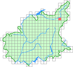Aper&ccedil;u de la maille