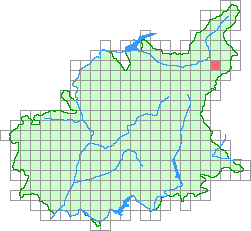 Aper&ccedil;u de la maille